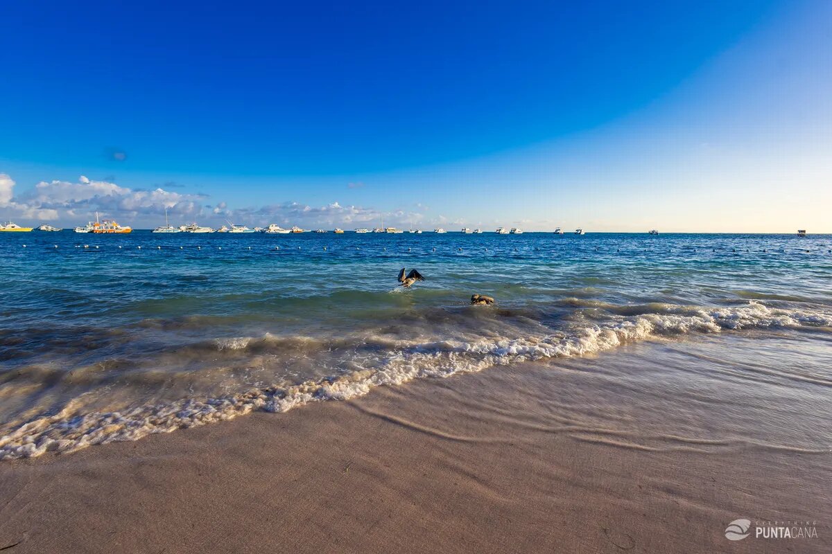 Punta Cana